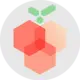 数码荔枝
