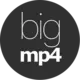 bigmp4